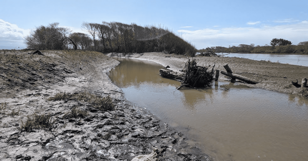 Blog Post Featured Photo (12)