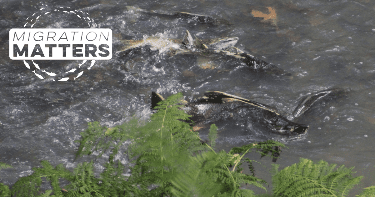 Blog Post Featured Photo (16)