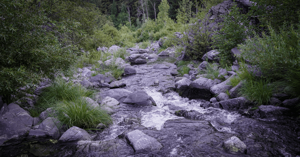 Blog Post Featured Photo (18)