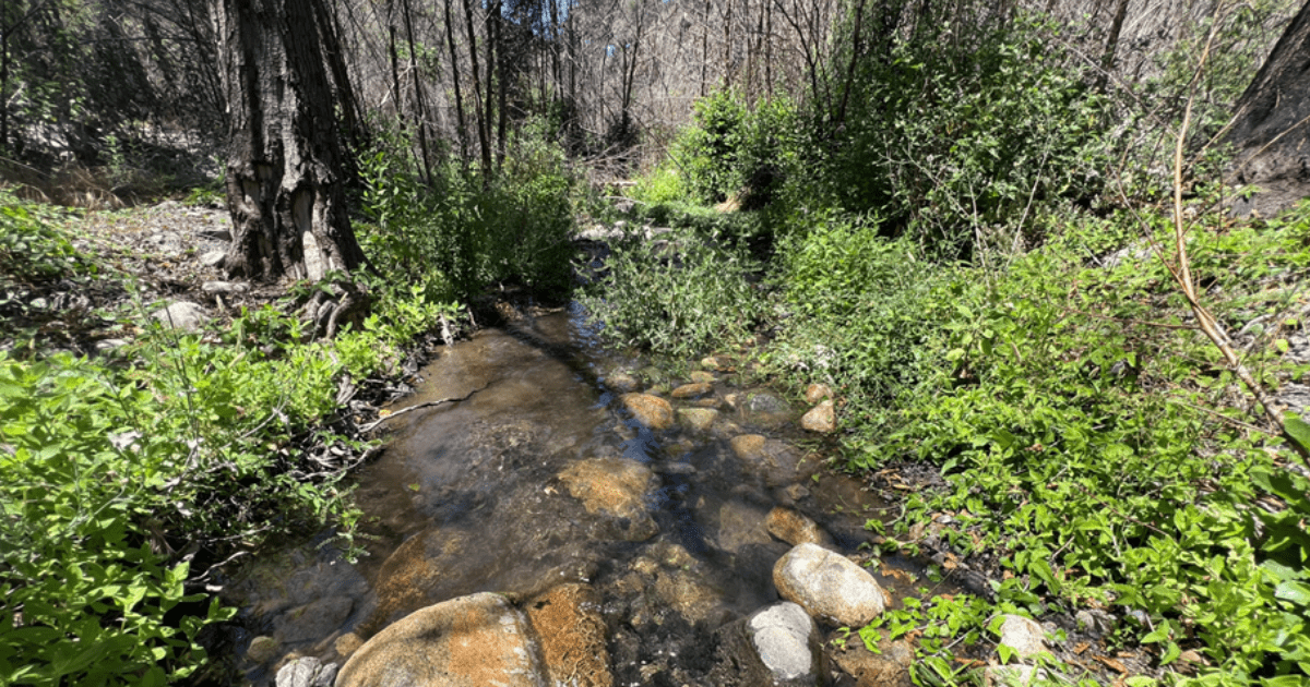 Blog Post Featured Photo (3)