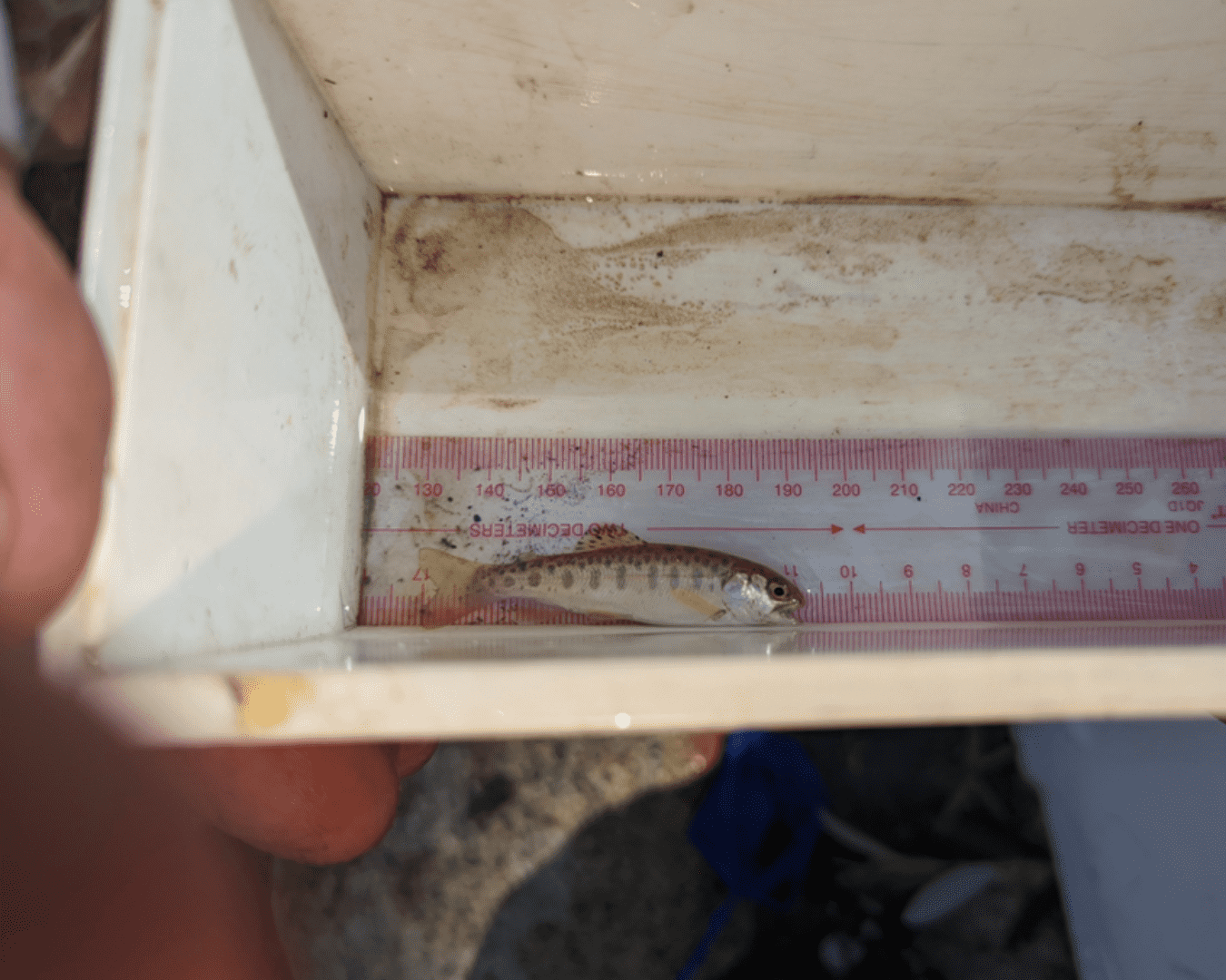 Rectangle Photo Blog Post (1080 x 1350 px) (1350 x 1080 px) (19)