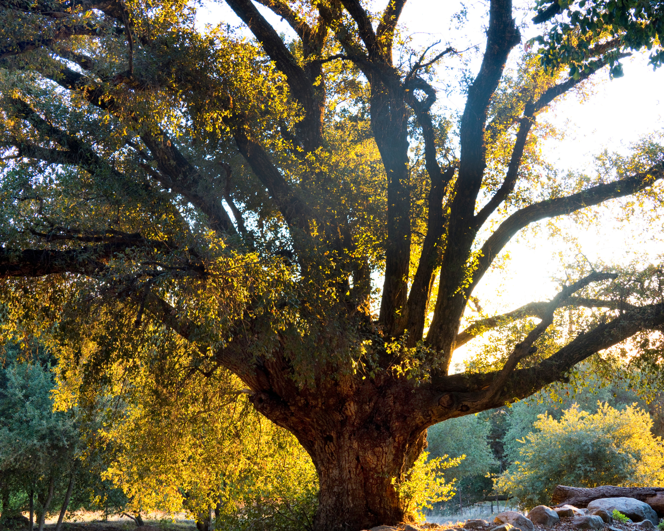 Rectangle Photo Blog Post (1080 x 1350 px) (1350 x 1080 px) (25)