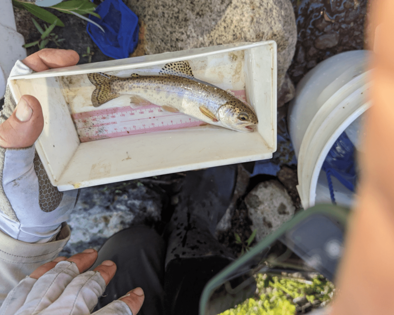 Rectangle Photo Blog Post (1080 x 1350 px) (1350 x 1080 px) (9)