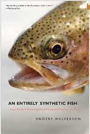 An Entirely Synthetic Fish