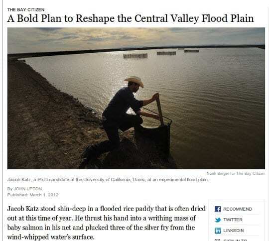 New York Times/California's floodplains story