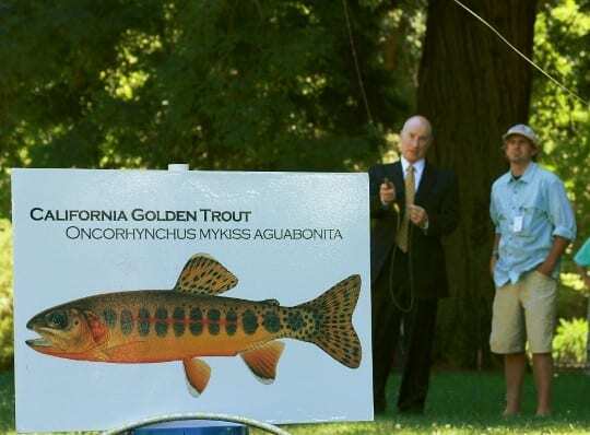 The 2012 CalTrout/TU Casting Call