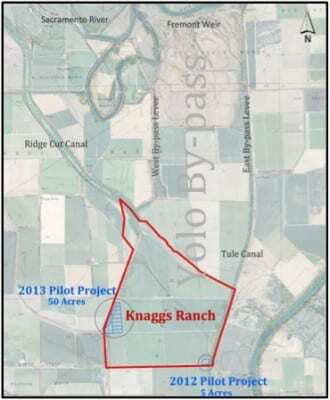 Knaggs Ranch Agricultural Floodplain Study