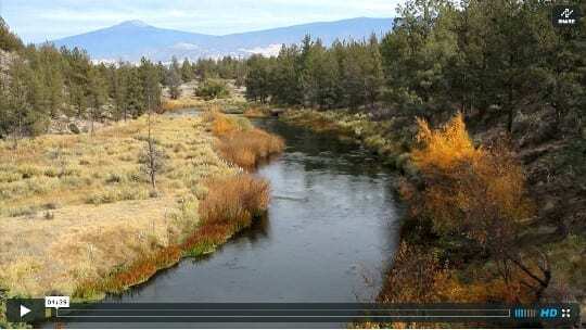 Shasta River video screenshot