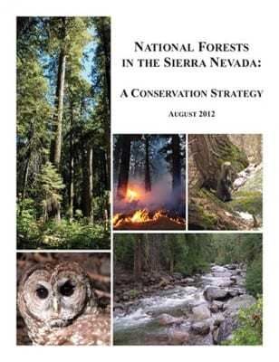 SN-Conservation-Strategy