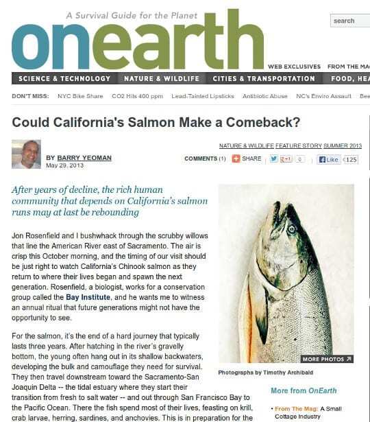 What's the cost of losing California's salmon?
