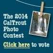 photo_contest_2014_110sq_vote
