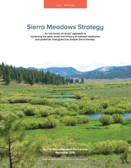 sierra-meadows-strategy