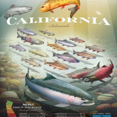 sos-california-salmonids-poster