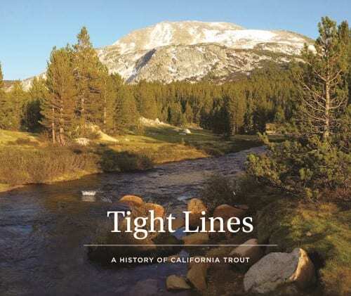 Tight Lines Cover