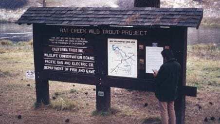 Wild Trout Waters