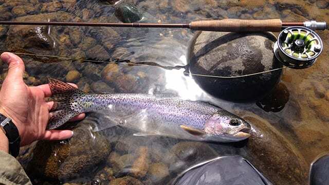 Wild Trout Waters, Moments That Write History #2