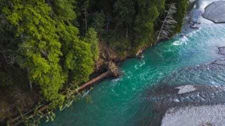 Protecting the Eel River from Headwaters to Sea