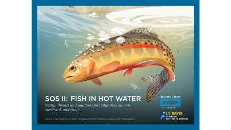 SOS II Fish in Hot Water