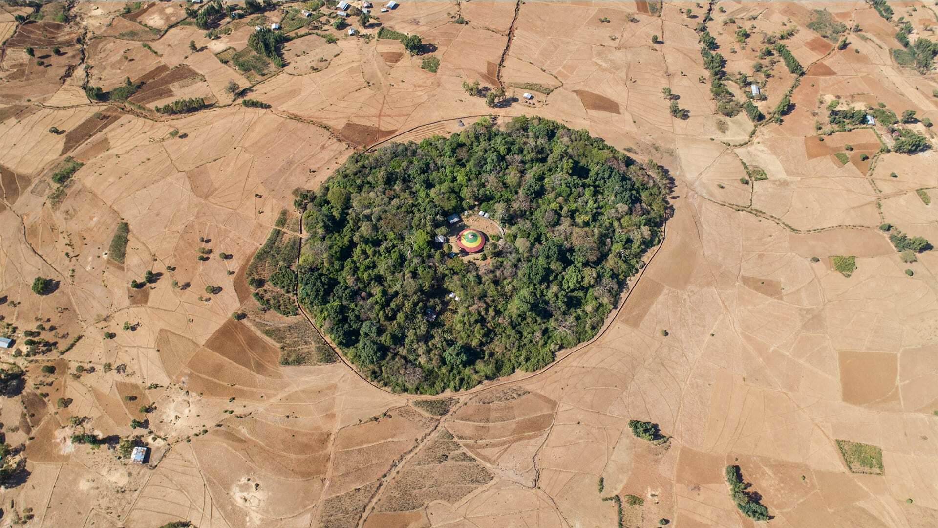 The Church Forests of Ethiopia