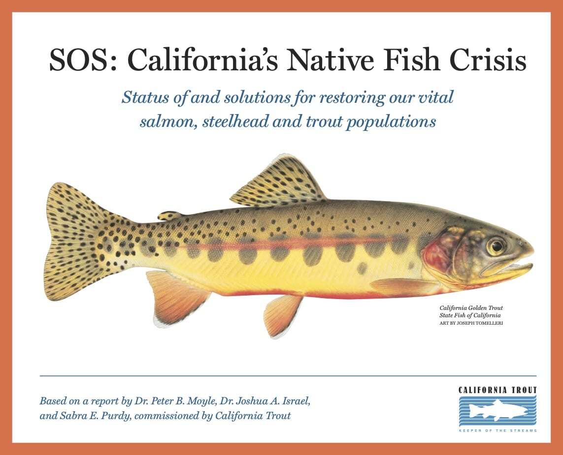 SOS: California Native Fish Crisis
