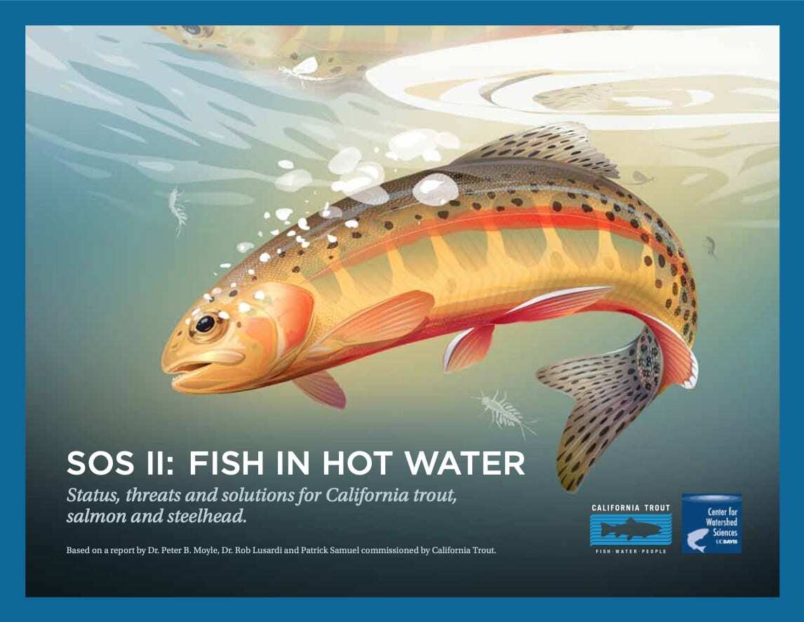 SOS II: Fish in Hot Water