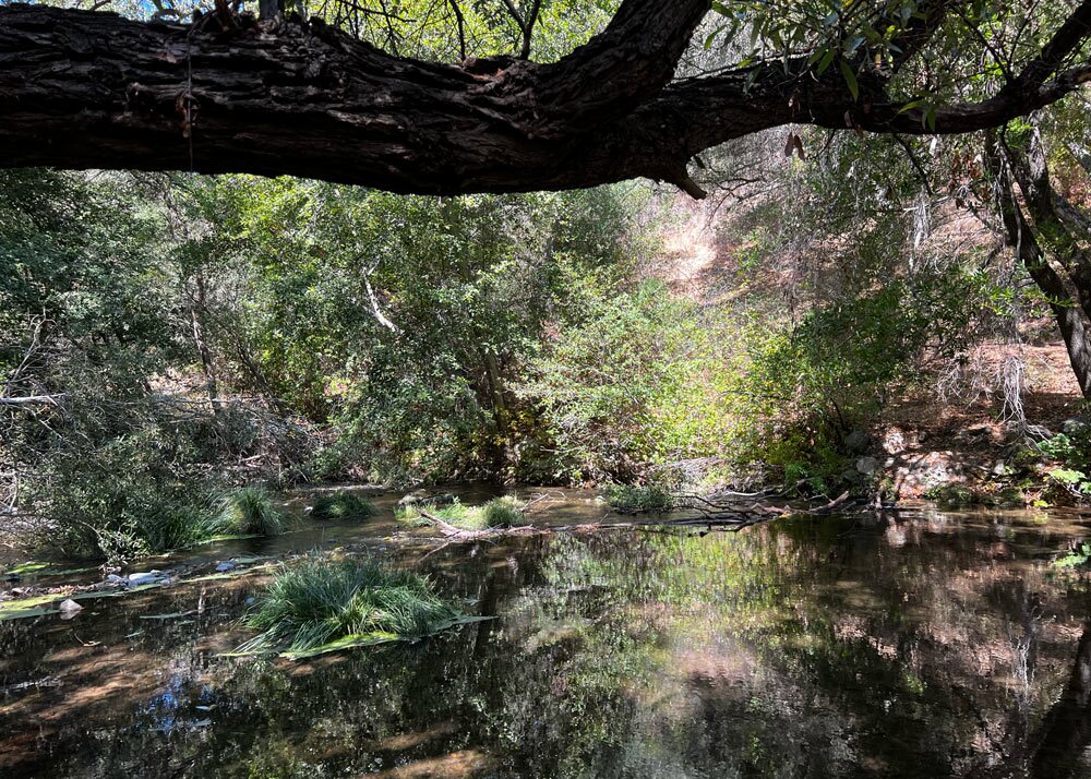 Alameda-Creek