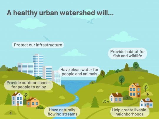 A-healthy-urban-watershed-will..