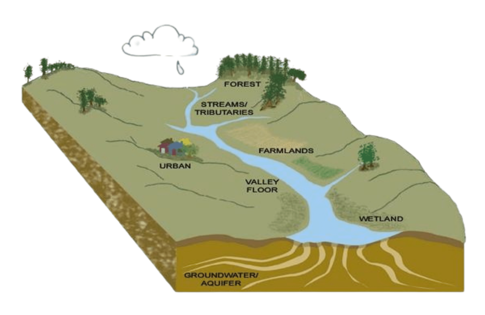 watershed diagram no background 3
