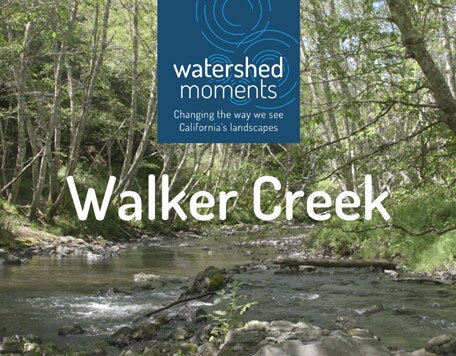 Watershed-Cover-Images-Walker-Creek-456x356