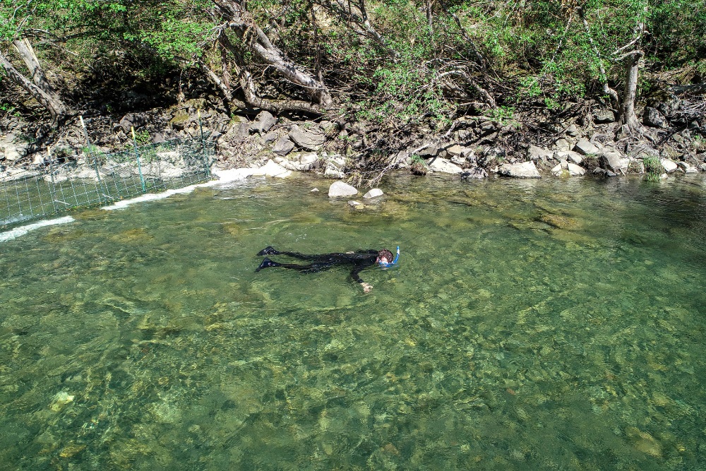 A man snorkels in the Eel River.