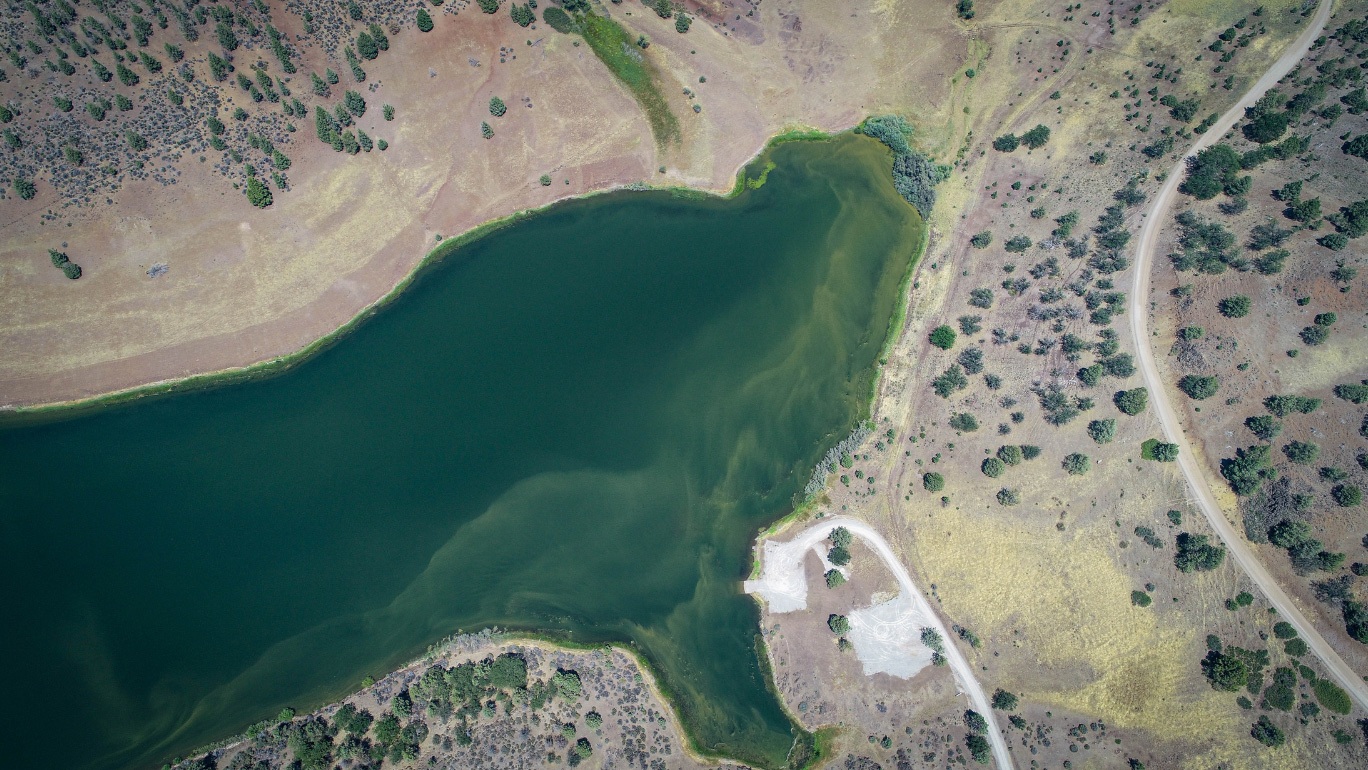 A green reservoir