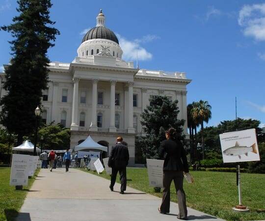 CalTrout Casting Call CalTrout Casting Call