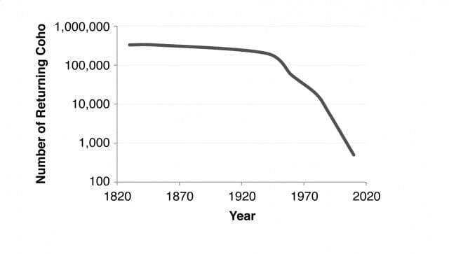 California Coho salmon populations