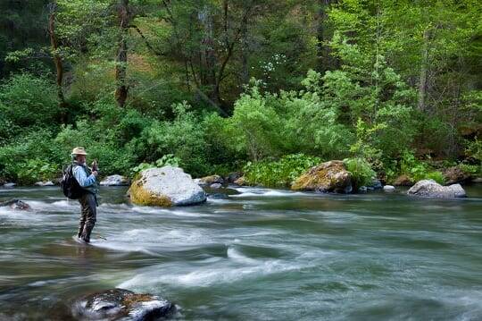 Craig Ballenger on the McCloud