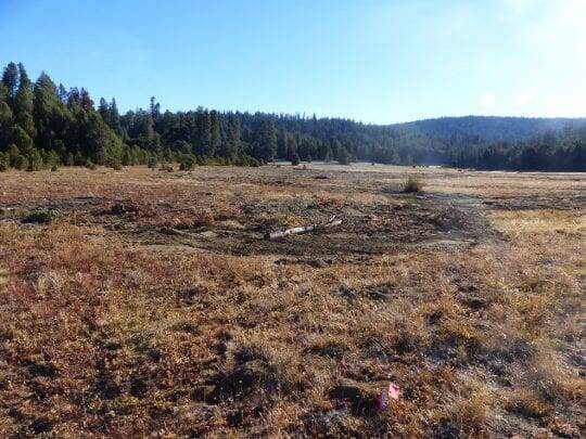 osa-looking-up-meadow-incised-channel-filled
