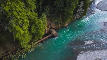 Protecting the Eel River from Headwaters to Sea