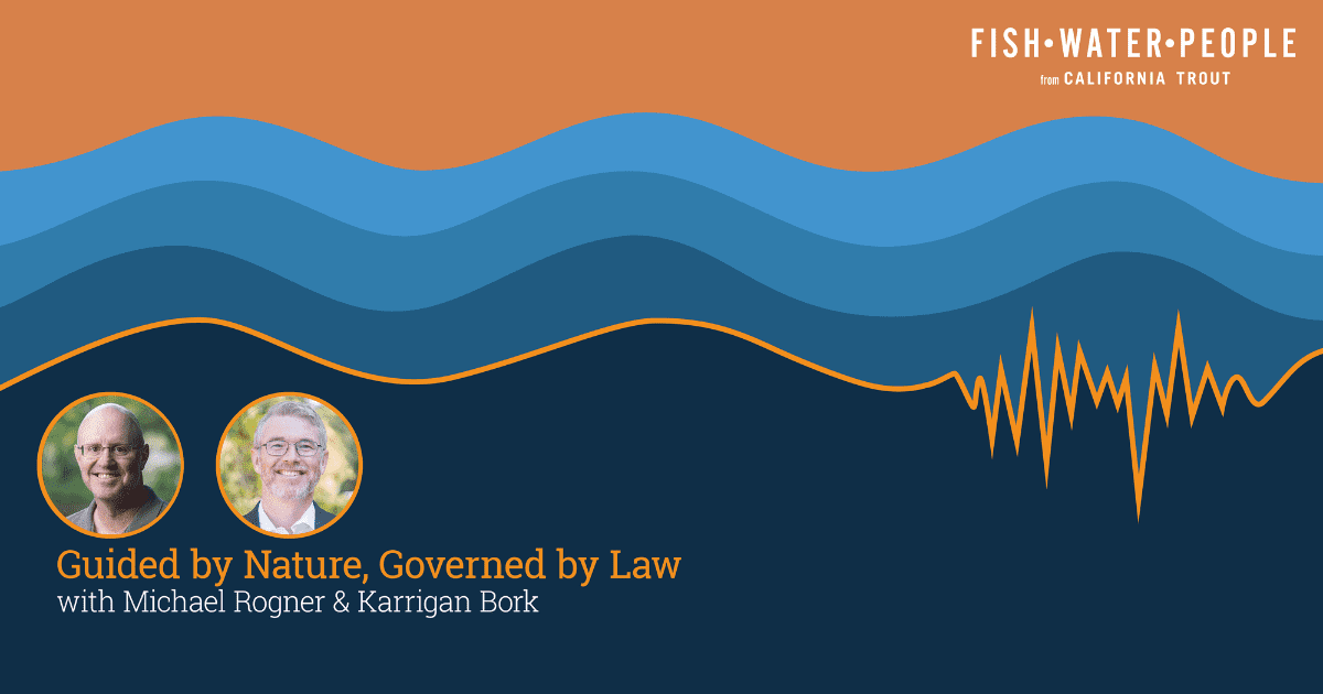 Blog Post Featured Photo (13)