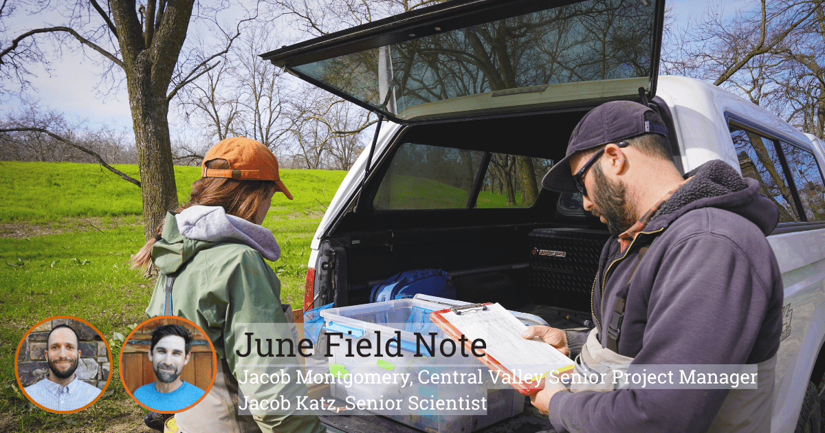 Blog Post Featured Photo (17)