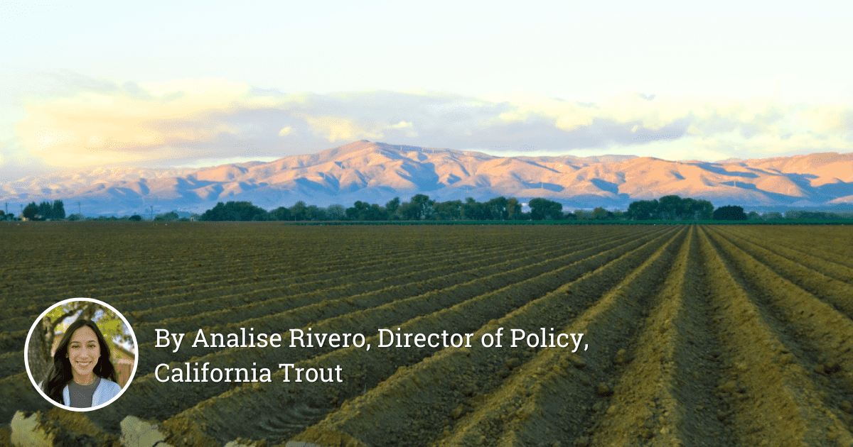 Blog Post Featured Photo (27)