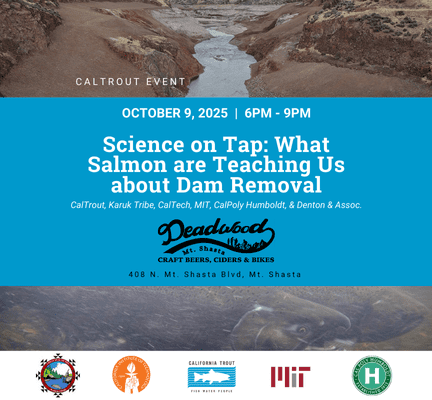 Webpage Event Graphic