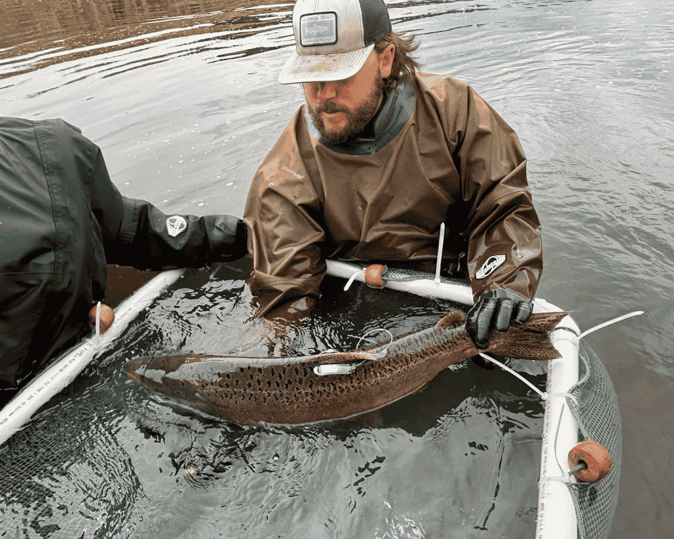 Rectangle Photo Blog Post (1080 x 1350 px) (1350 x 1080 px)