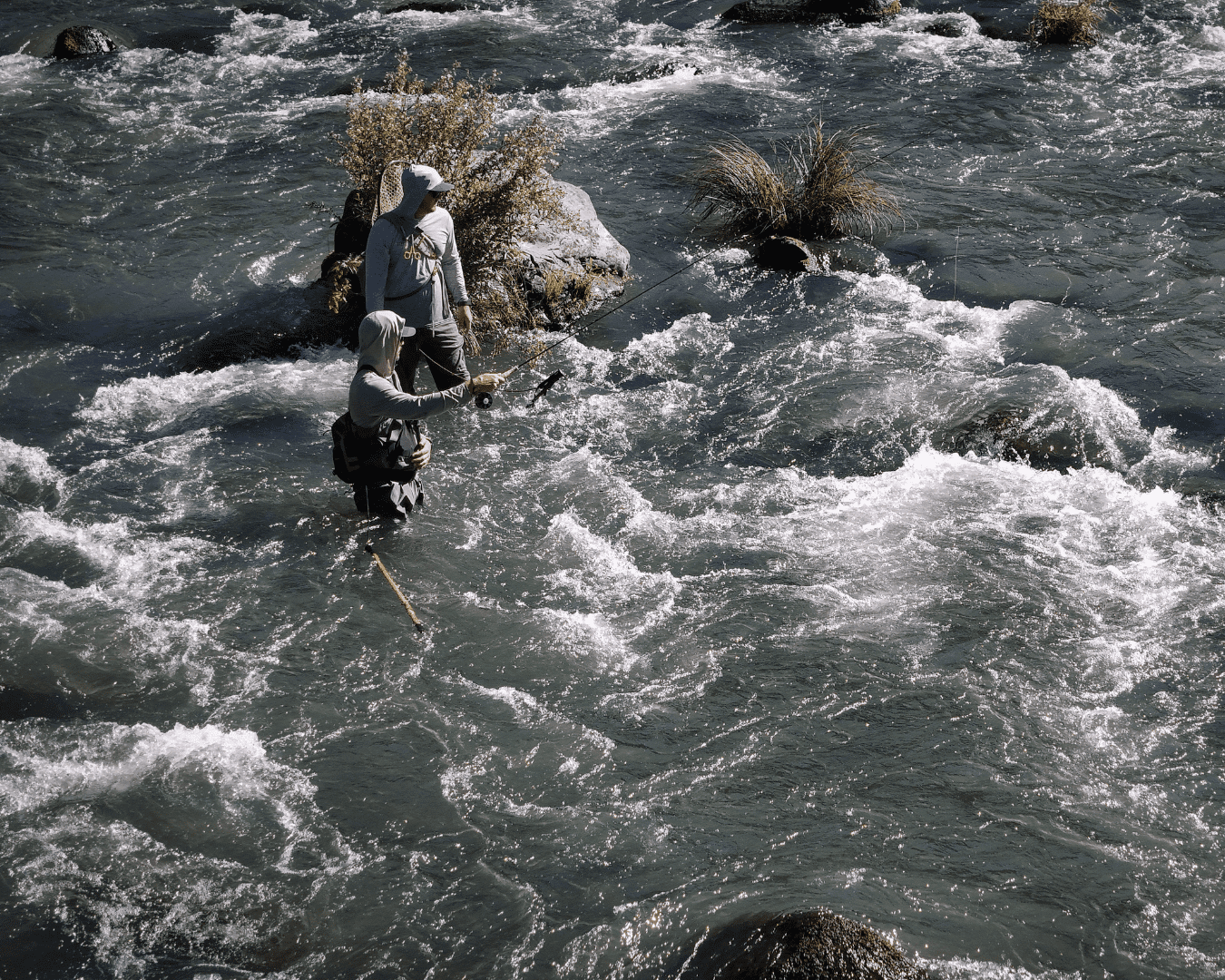 Rectangle Photo Blog Post (1080 x 1350 px) (1350 x 1080 px) (6)