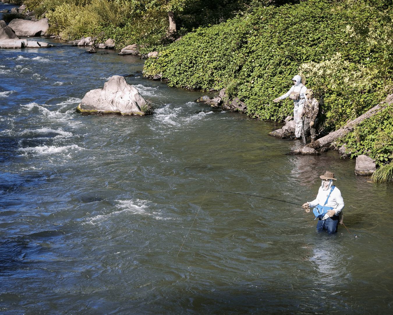 Rectangle Photo Blog Post (1080 x 1350 px) (1350 x 1080 px) (7)