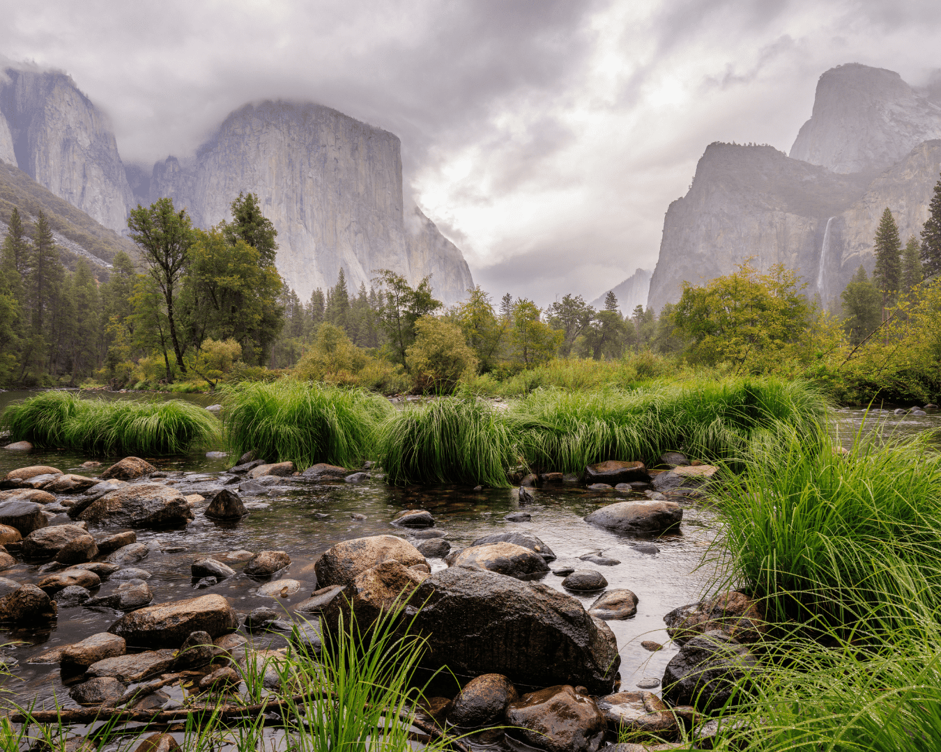 Rectangle Photo Blog Post (1080 x 1350 px) (1350 x 1080 px)