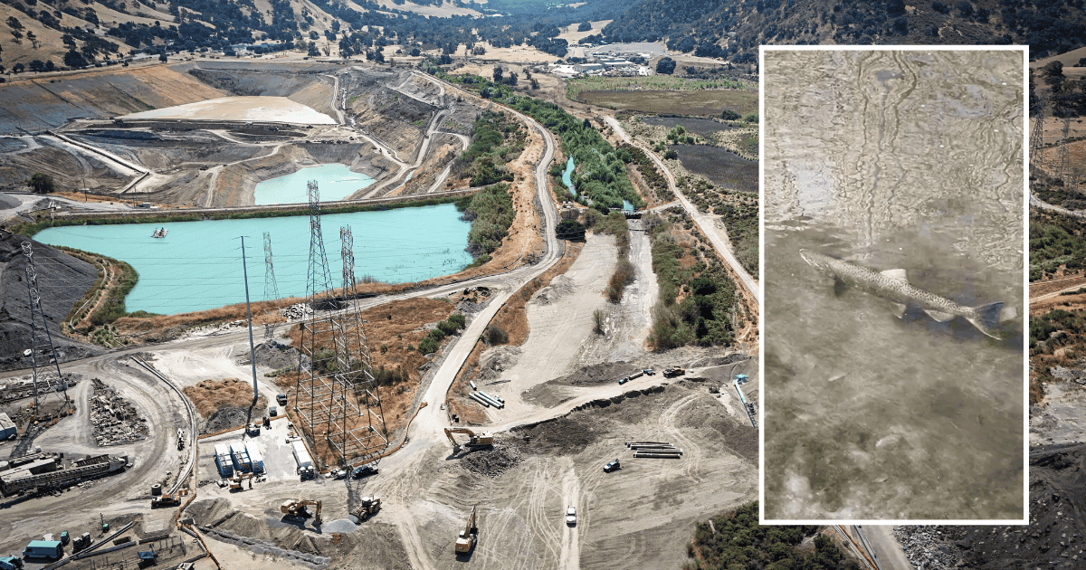 Blog Post Featured Photo (2)