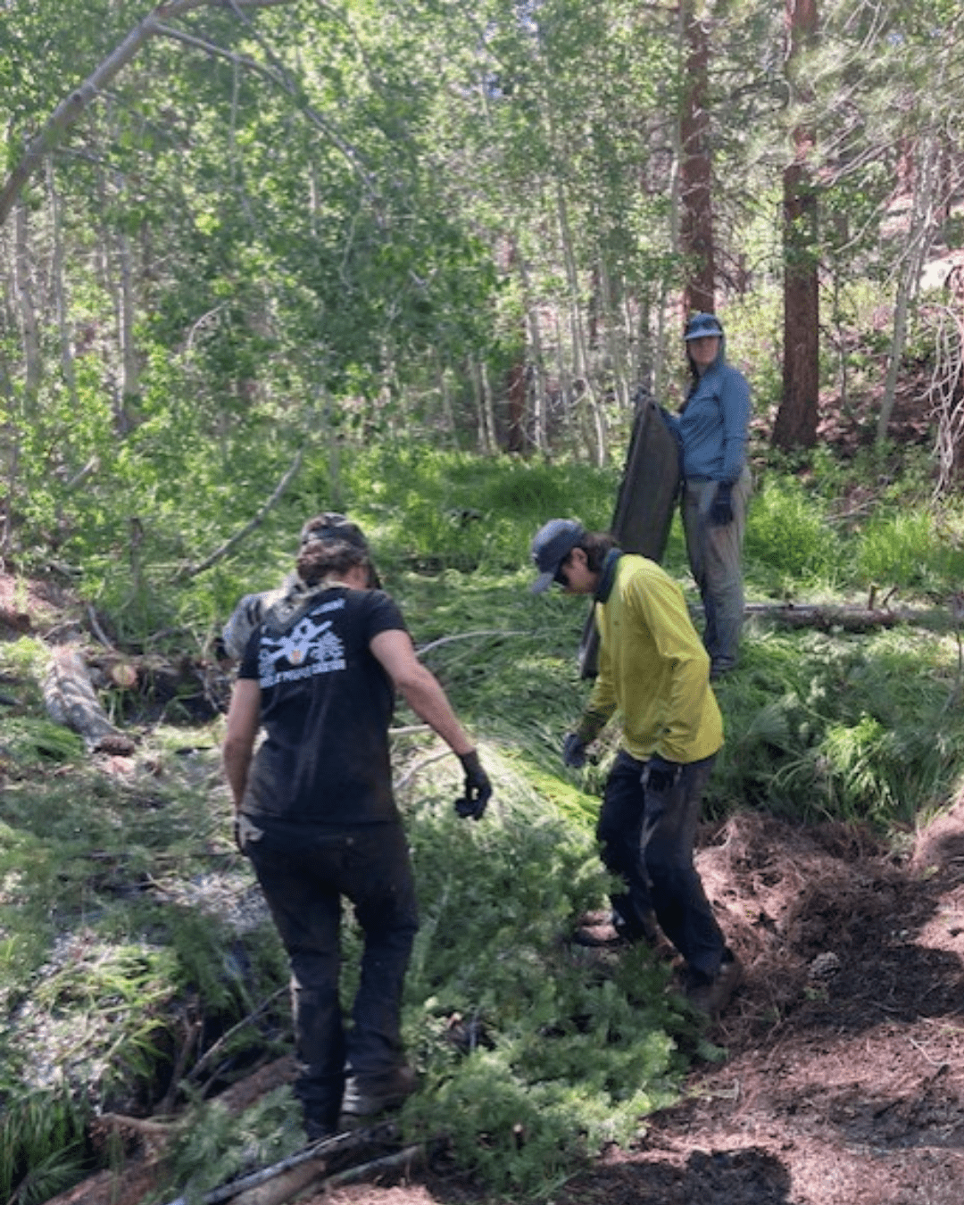 Rectangle Photo Blog Post (1080 x 1350 px) (2)