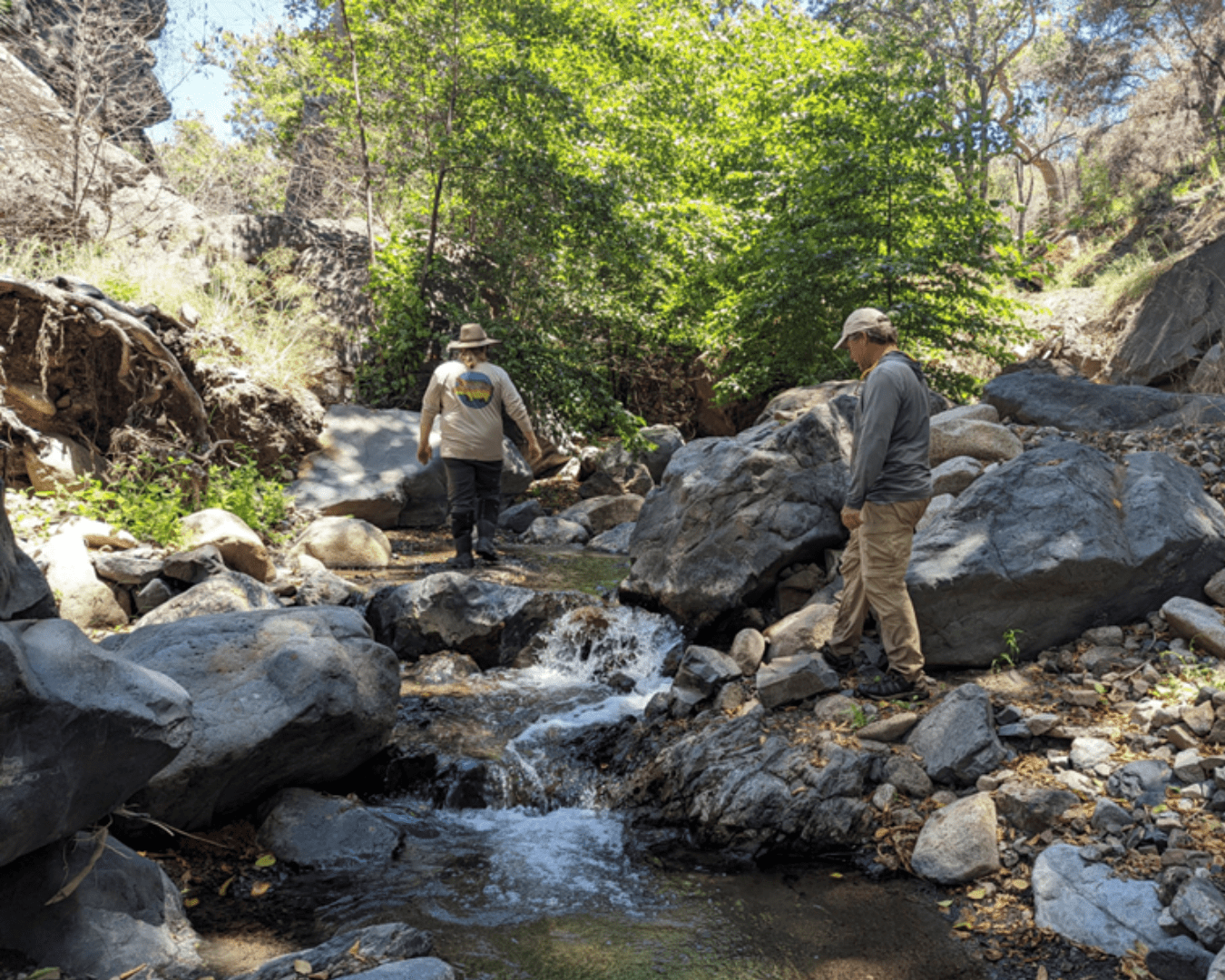 Rectangle Photo Blog Post (1080 x 1350 px) (1350 x 1080 px) (21)