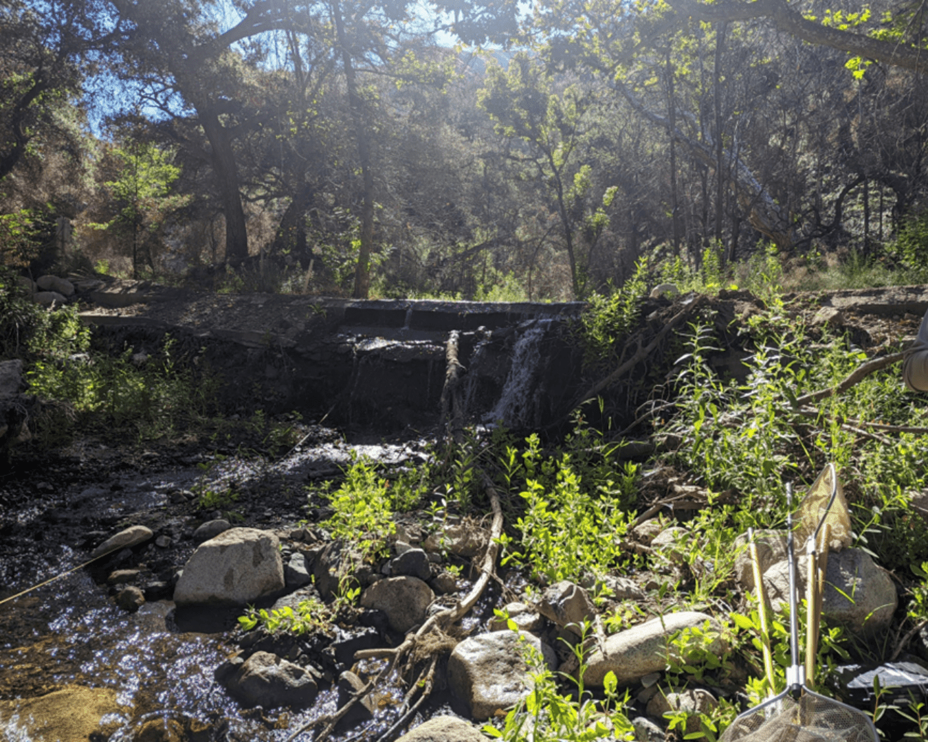 Rectangle Photo Blog Post (1080 x 1350 px) (1350 x 1080 px) (22)