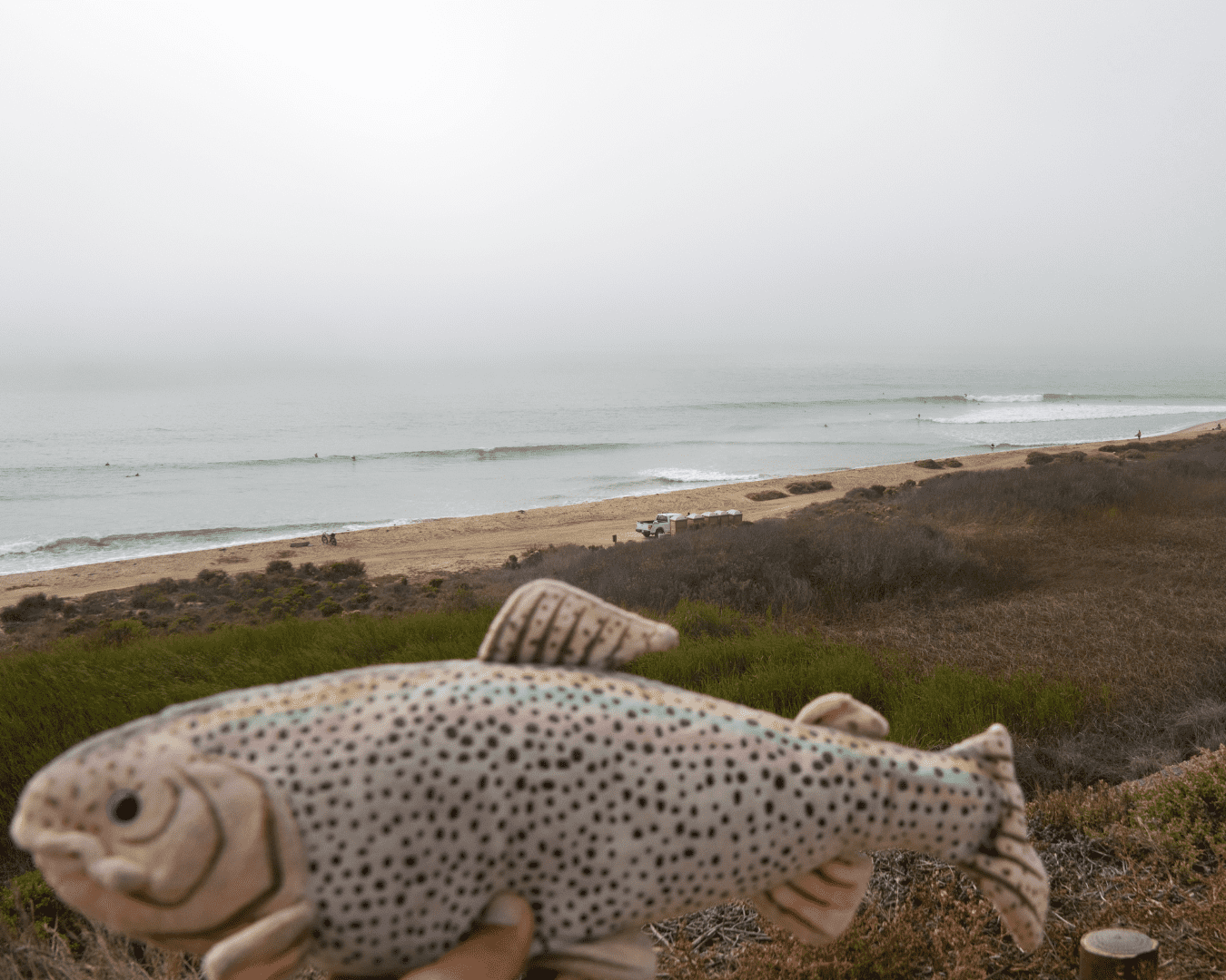 Rectangle Photo Blog Post (1080 x 1350 px) (1350 x 1080 px) (23)