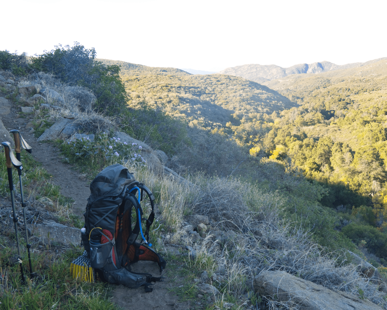 Rectangle Photo Blog Post (1080 x 1350 px) (1350 x 1080 px) (26)